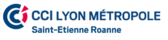 https://www.lyon-metropole.cci.fr